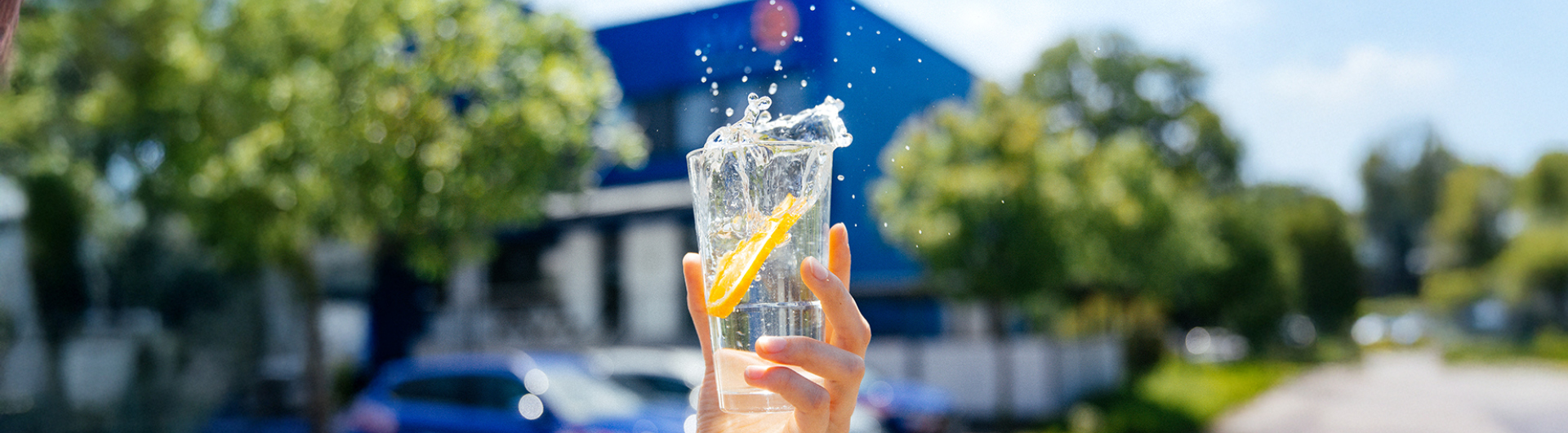 Wasserglas mit Orange